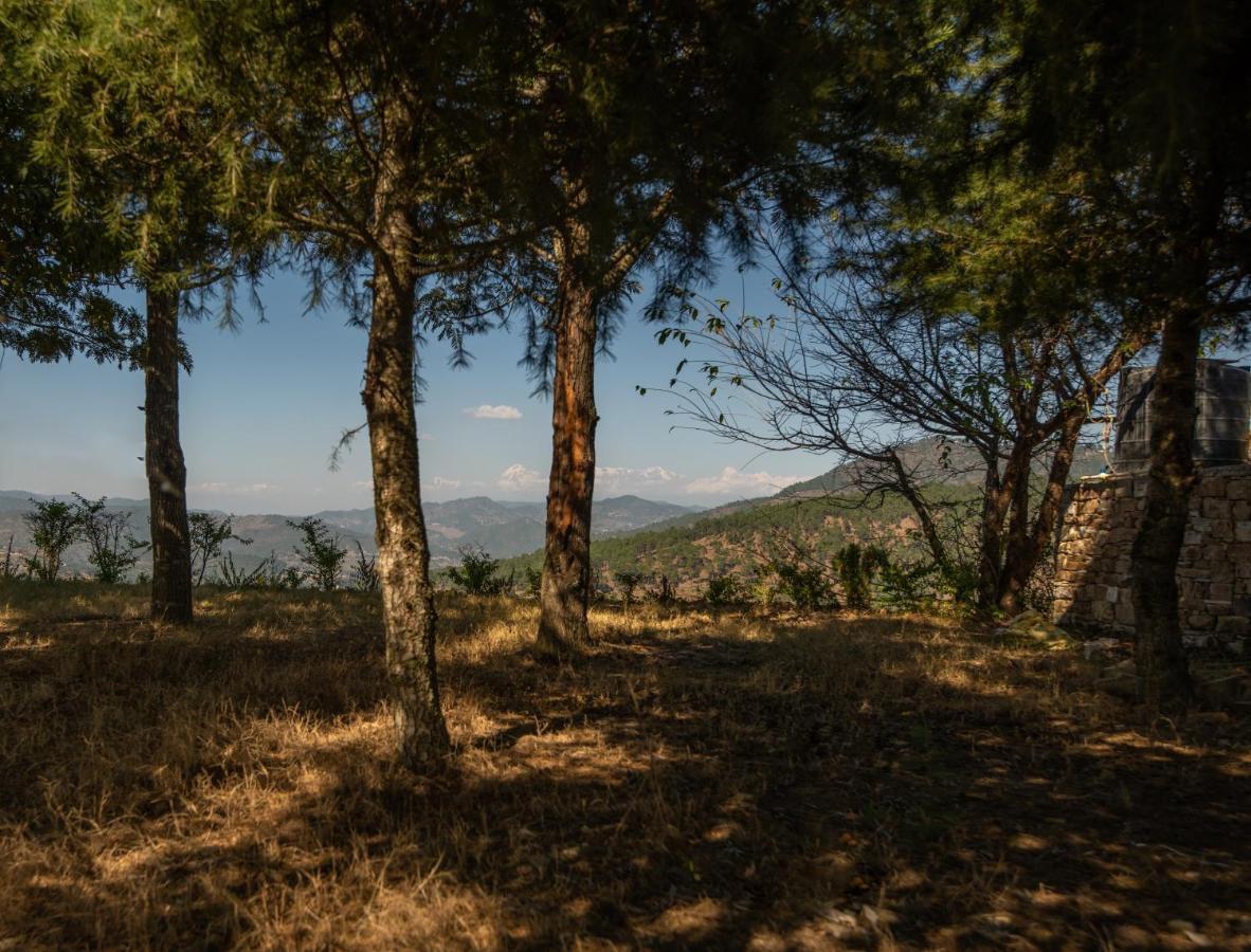 Blusalzz Homes - The Himalayan Bungalow, Almora - Uttarakhand Dış mekan fotoğraf